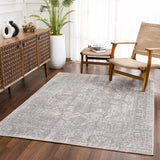 Hauteloom Peeta Gray Medallion area rug with intricate pattern, shown in a cozy room setting.