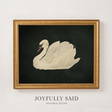 Swan Study