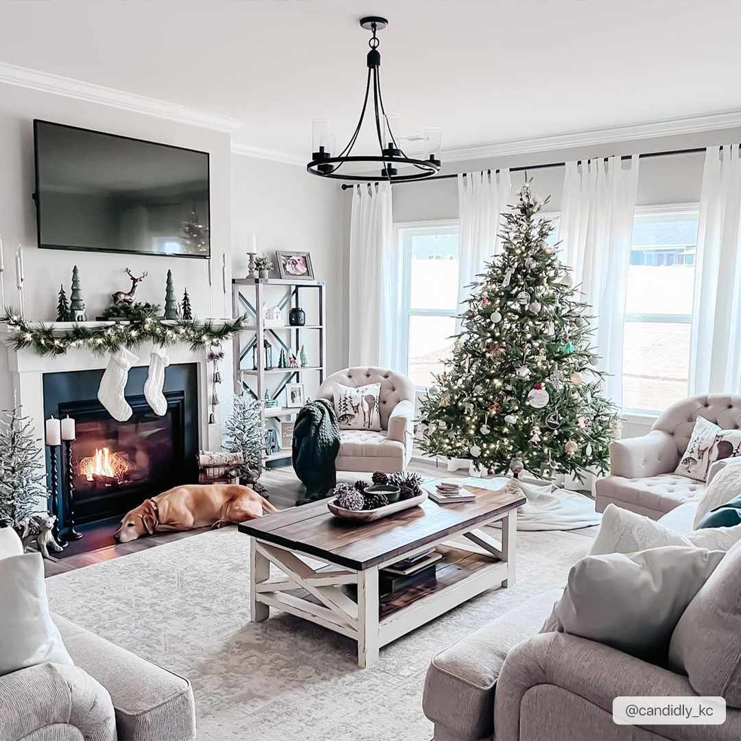 Hauteloom Rachel area rug with intricate patterns and neutral tones, displayed on a modern living room floor.