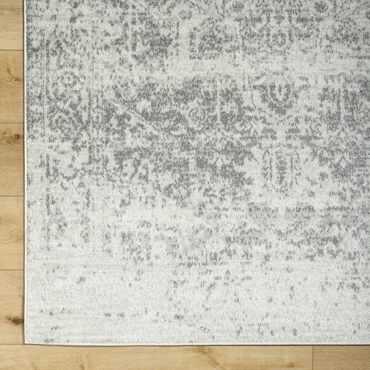 Overhead view of Hauteloom Rachel area rug with intricate pattern and soft texture, perfect for living room or bedroom decor.